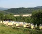 Cele mai îndrăgite mânăstiri ale Banatului Montan aşteaptă pelerinii de Înviere