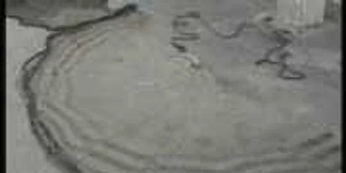 Obiectele şi captura au fost confiscate de jandarmi. FOTO: NICOLETA BUTNARU