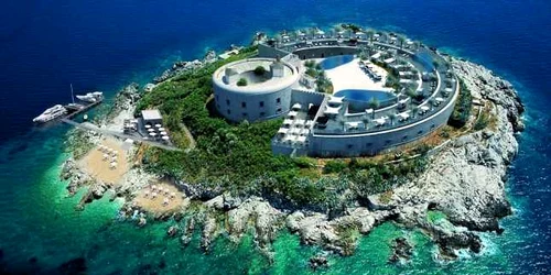 insula