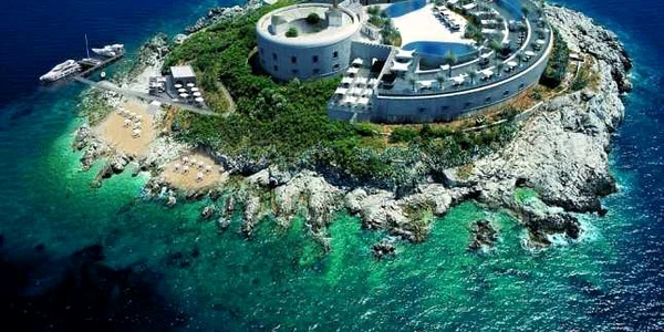 insula