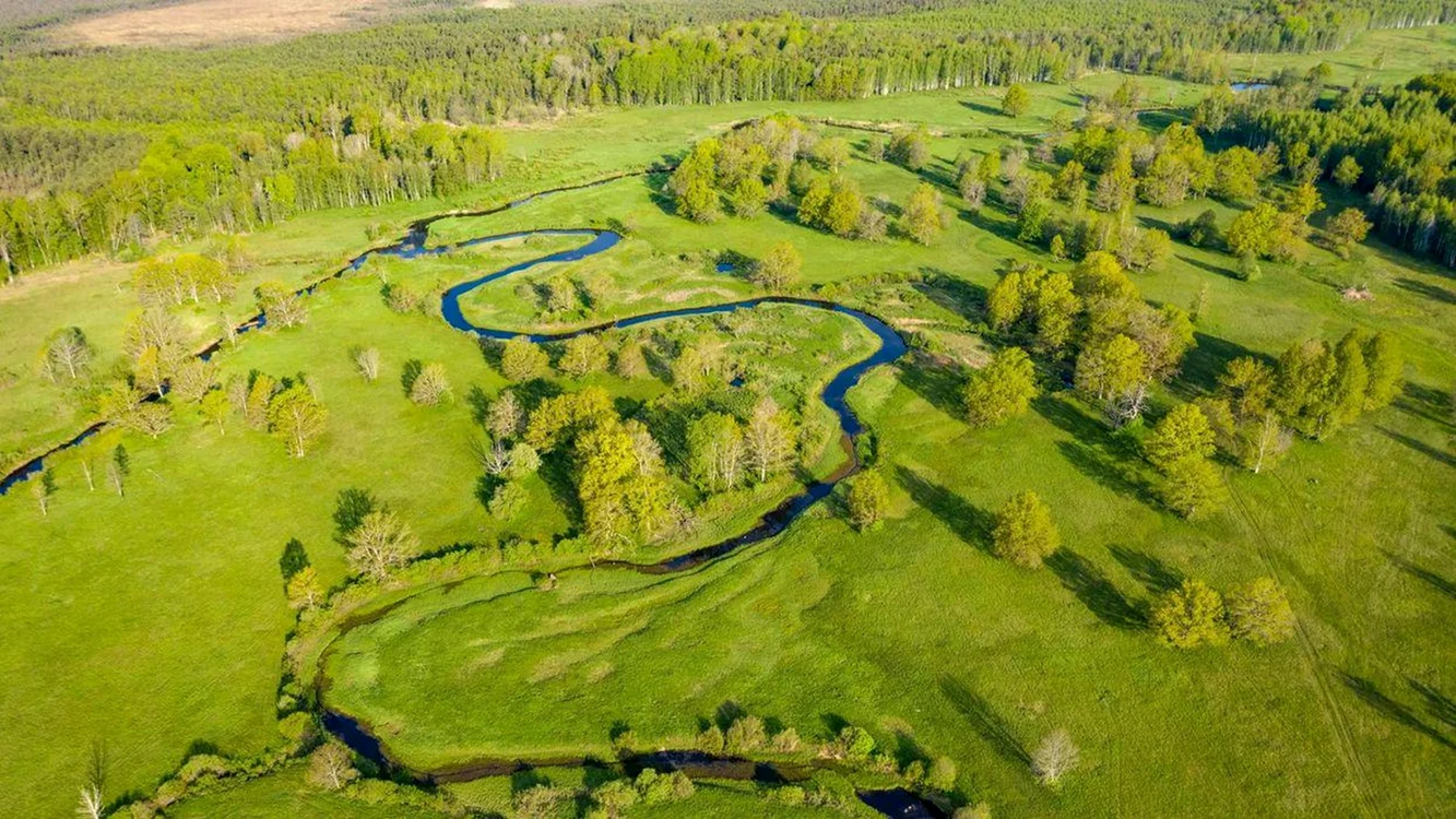 Parcul Național Soomaa este inundat în fiecare an 