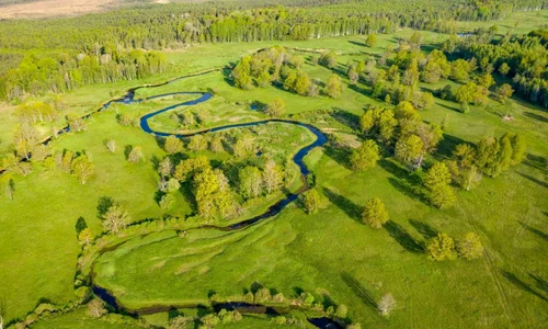estonia al cincilea anotimp parcul national soomaa 6 jpg