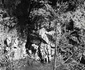 retezat 1963 foto viorel simionescu