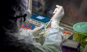 coronavirus laborator china testare jpeg