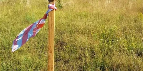 lucrari Autostrada Sibiu Pitesti Foto Asociatia Pro Infrastructura