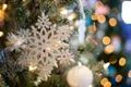 snowflake 1823942 1280 jpg