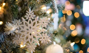 snowflake 1823942 1280 jpg