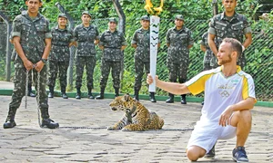 mascota olimpiada12451245 0 jpeg