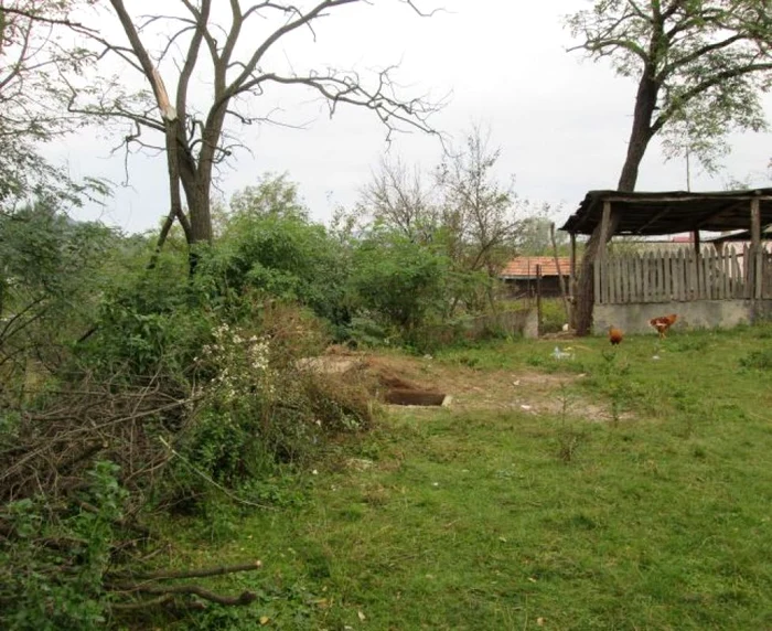 Copilul a căzut într-o fosă septică FOTO arhivă Adevărul 