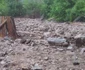 furtuna alba cugir