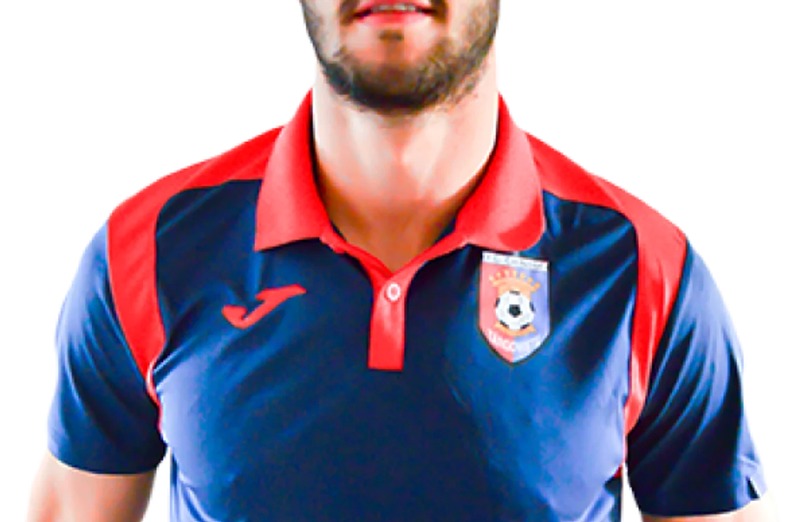 andrei pitian chindia