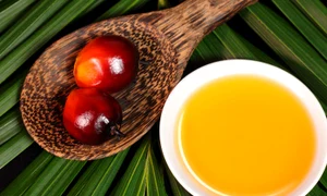 21797814   oil palm fruits and a plate of cooking oil on leaves background jpeg