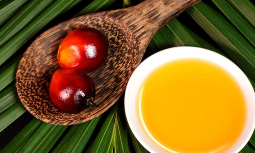 21797814   oil palm fruits and a plate of cooking oil on leaves background jpeg