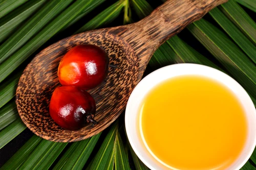 21797814 oil palm fruits and a plate of cooking oil on leaves background jpeg