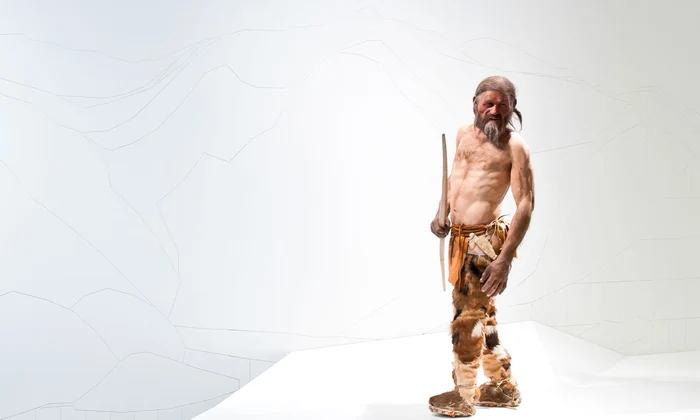 O reconstituire a lui Ötzi, Omul Ghețurilor, expusă la Muzeul de Arheologie din Tirolul de Sud (©iceman.it)
