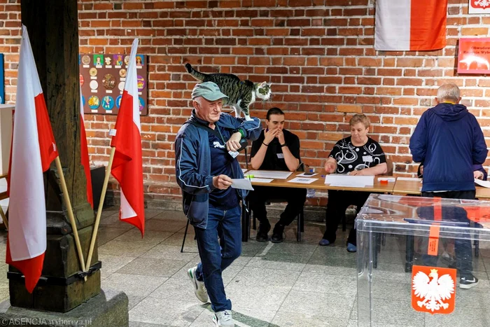 polonia vot jpg