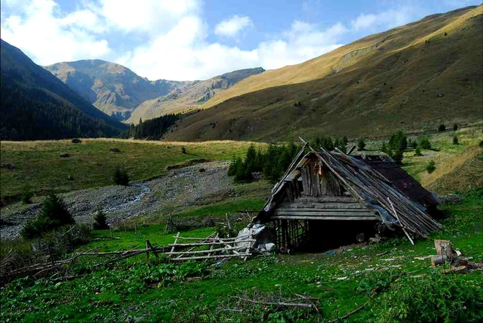 Munţii Ţarcului fac parte dintr-un areal în care prezenţa omului este foarte redusă