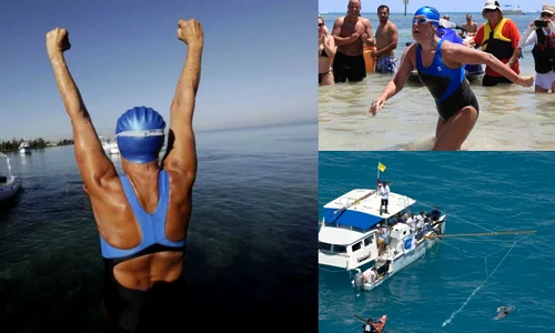 diana nyad jpg