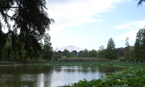 Parcul Circului de Stat jpg