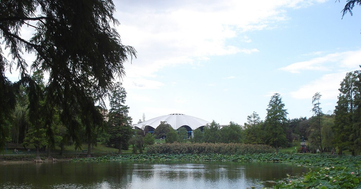 Controverse pe internet după tăierea copacilor din Parcul Circului: „Cine îi usucă?”