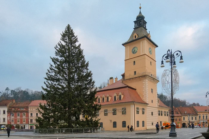 Bradul are 29 de metri Foto: Facebook Primăria Municipiului Brașov