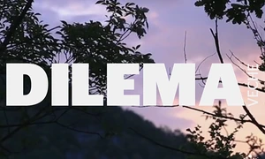 Festivalul Dilema veche 2016 jpeg