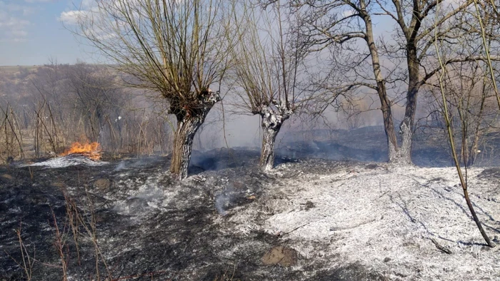 incendiu vegetatie Bacau FOTO Lucian Bogdanel 2