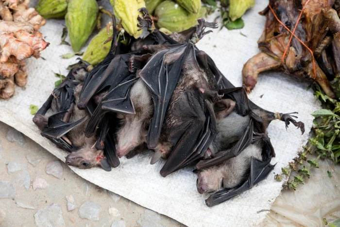 Lilieci vânduţi la o piaţă din Laos FOTO SHUTTERSTOCK