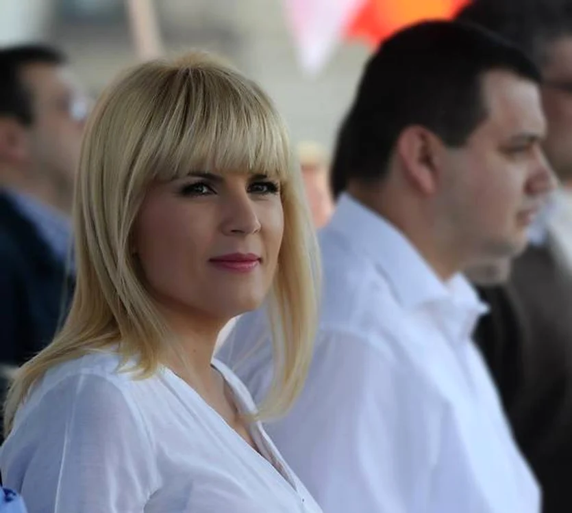 Comisia Juridică a avizat urmărirea penală şi arestarea preventivă a fostul ministru Elena UdreaFoto: Arhiva personală