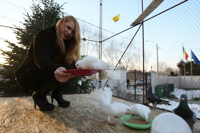 Pictoriţa şi-a populat castelul cu porumbei, găini şi gâşte