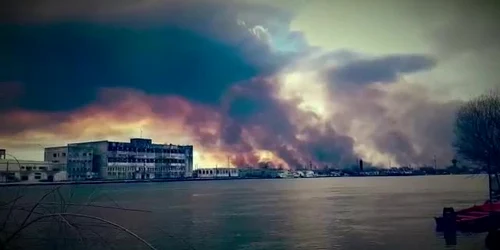 61e3fa535163ec4271c9afca jpg