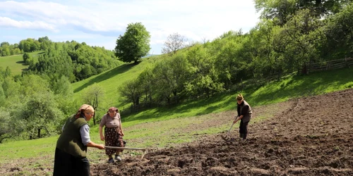 satul ursici foto daniel guta adevarul