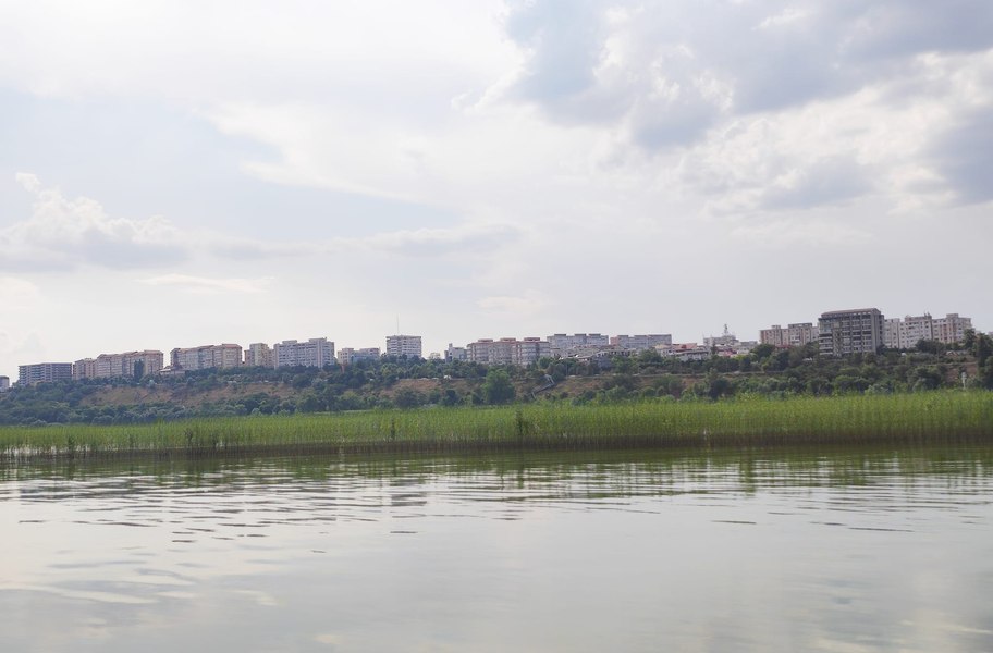 Pădurea de sălcii din mijlocul Dunării. A devenit în scurt timp o atracție turistică VIDEO 
