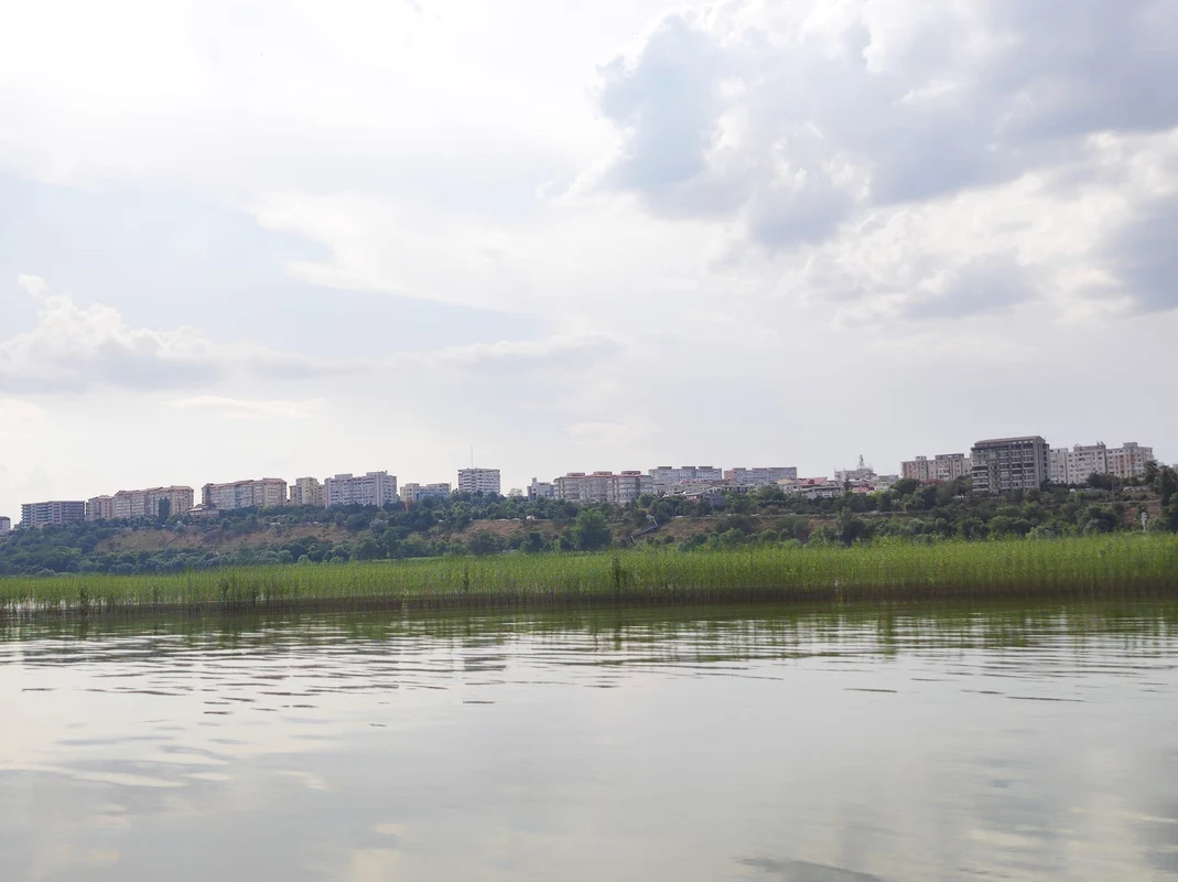 Insula din miljocul Dunării a înverzit FOTO: C. Mazilu