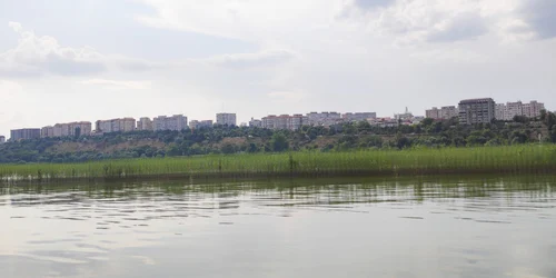 Insula din miljocul Dunării a înverzit FOTO: C. Mazilu