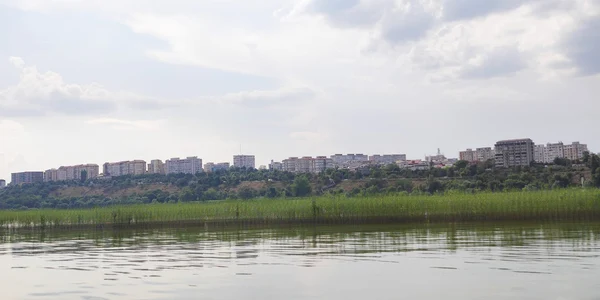 Insula din miljocul Dunării a înverzit FOTO: C. Mazilu