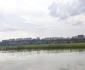 Insula din miljocul Dunării a înverzit FOTO: C. Mazilu