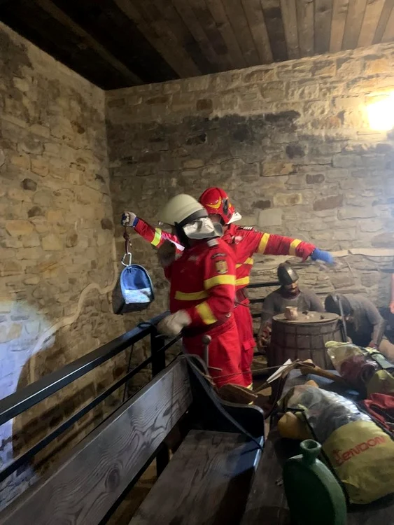 Pisica a fost scoasă într-o cutie specială