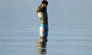Dropsurile cu mentă jpeg