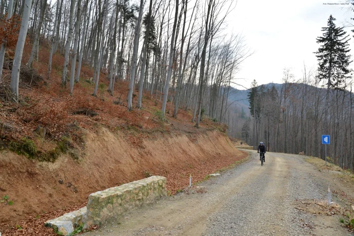 Drumurile forestiere pot fi folosite şi pentru drumeţii. FOTOAndrei Paul