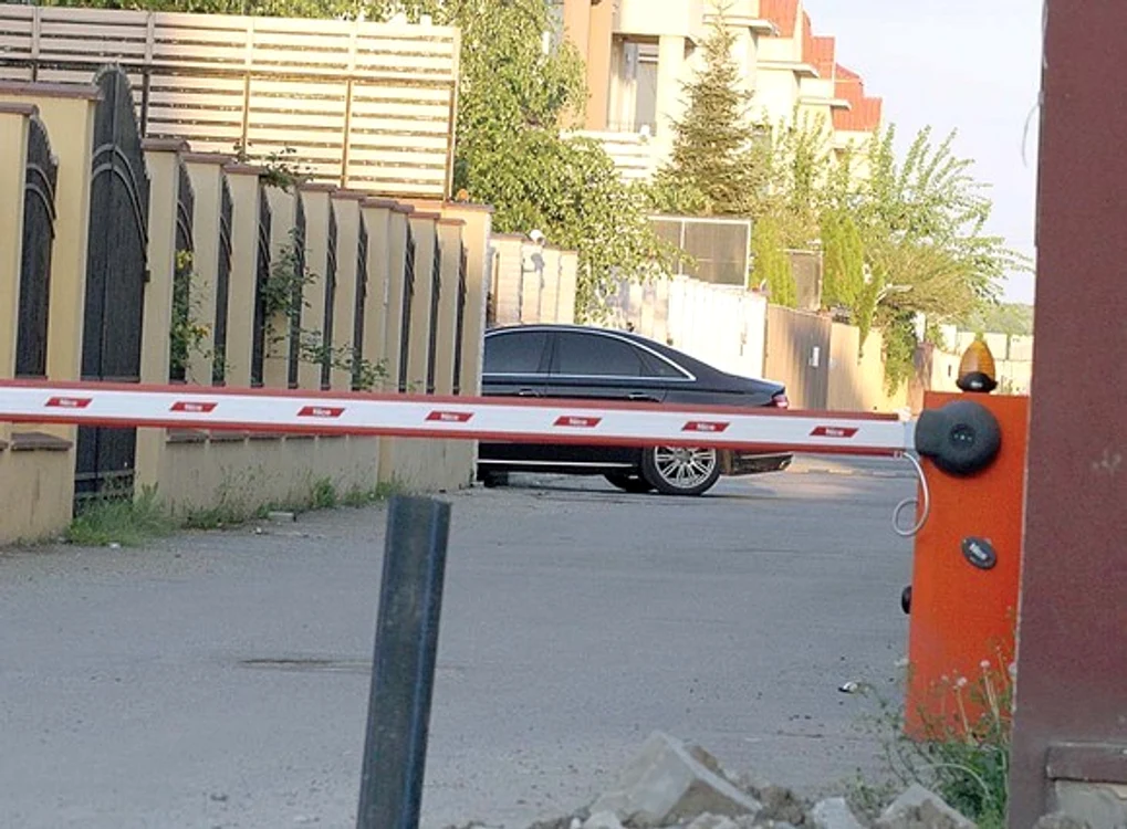 Mașina în care se afla Pelinel a fost surprinsă intrând în curtea vilei lui Borcea