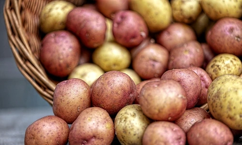 1 cum alegi cartofii jpg jpeg