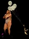 Mariah Carey shows off her curves as she dances and sings on stage with her cast for the final time at her Las Vegas residency at Ceasar's Palace in Las Vegas on final night jpeg