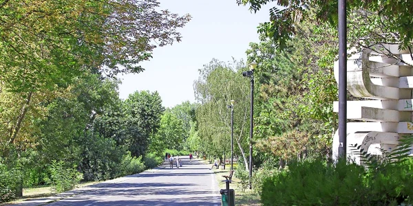 faleza