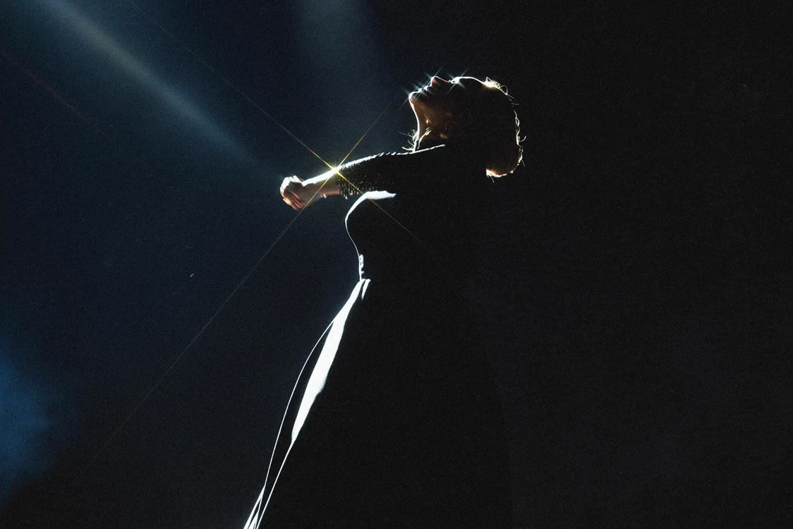 Adele și-a anunțat retragerea din carieră / Foto: Facebook