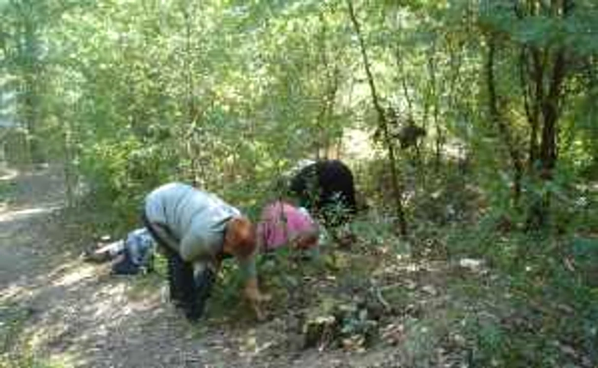 Terenurile din întreg județul trebuiesc inventariate 