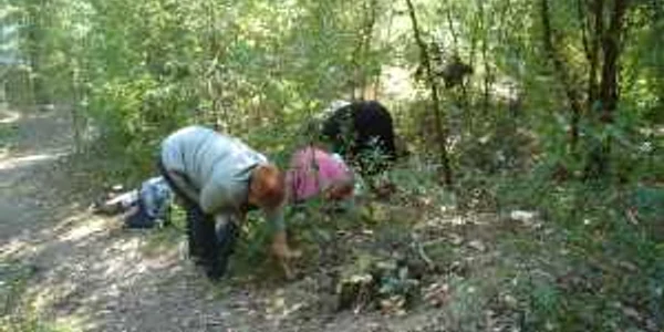 Terenurile din întreg județul trebuiesc inventariate 