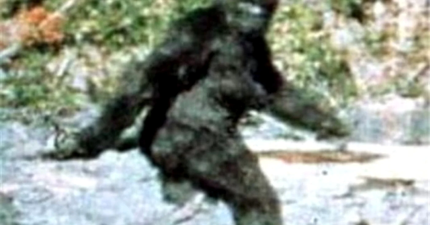 Yeti