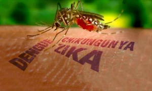 zika 2 jpeg