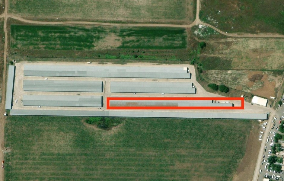 Incendiul de la Dragonul Roșu a fost localizat după ore întregi de luptă cu flăcările. A ars o suprafață de aproape 4.000 mp